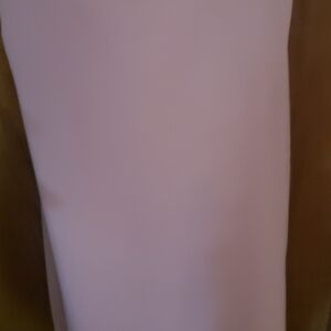 Brand NWT David's Bridal Bridesmaids dress